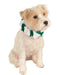 Scrunchie Christmas Classic Pet Collar - costumesupercenter.com