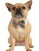 Christmas Classic Pet Bowtie - costumesupercenter.com