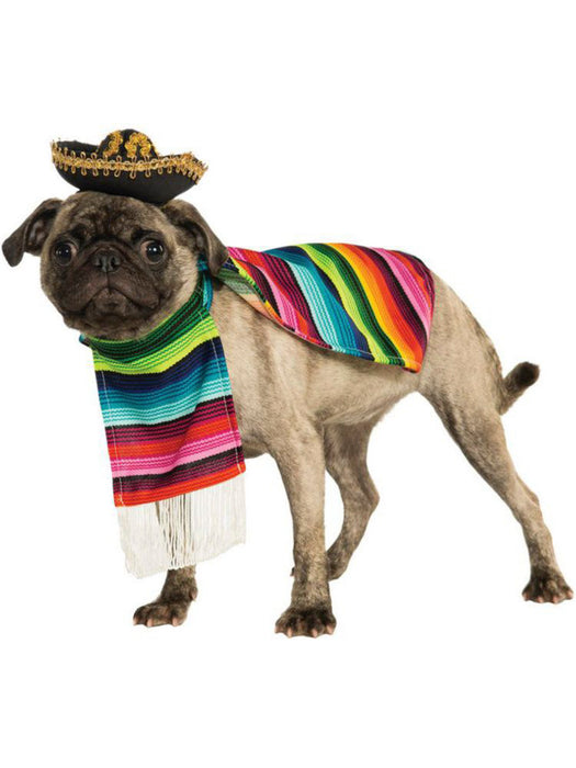 Poncho And Sombrero Mexican Dog Costume - costumesupercenter.com