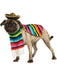 Poncho And Sombrero Mexican Dog Costume - costumesupercenter.com