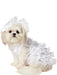Pet Dog Veil & Dress Bride Costume - costumesupercenter.com