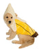 Pet Banana Costume - costumesupercenter.com