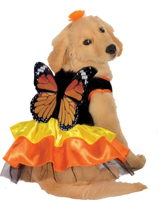 Pet Monarch Butterfly Costume - costumesupercenter.com