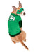 Green Lantern Pet Costume - costumesupercenter.com