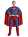 Adult Superman Costume - costumesupercenter.com