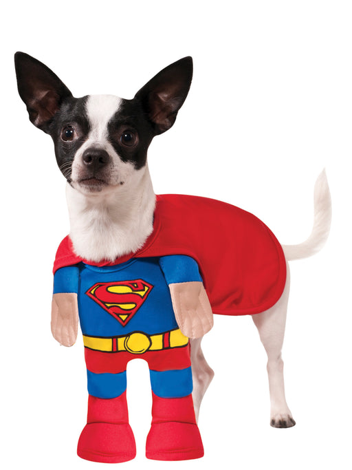 Superman Walking Pet Costume - costumesupercenter.com