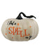 6" Hocus Pocus I Put A Spell On You Pumpkin - costumesupercenter.com