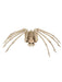 Skeletal Spider Prop - 20.5" - costumesupercenter.com