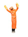 Wild Waving Tube Guy Costume for Adults - costumesupercenter.com
