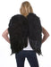 Black Feather Wings - costumesupercenter.com